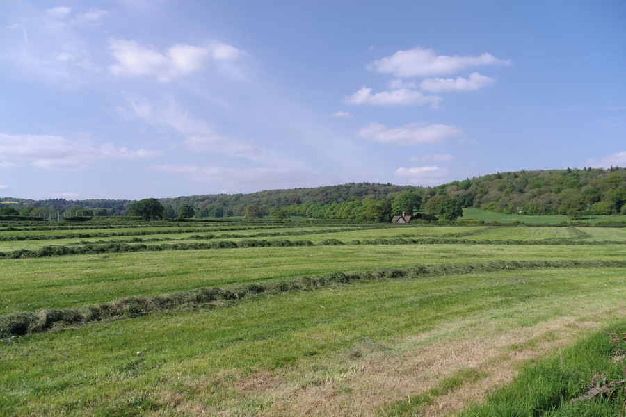 Fields in Flax Bourton, looking northwards.