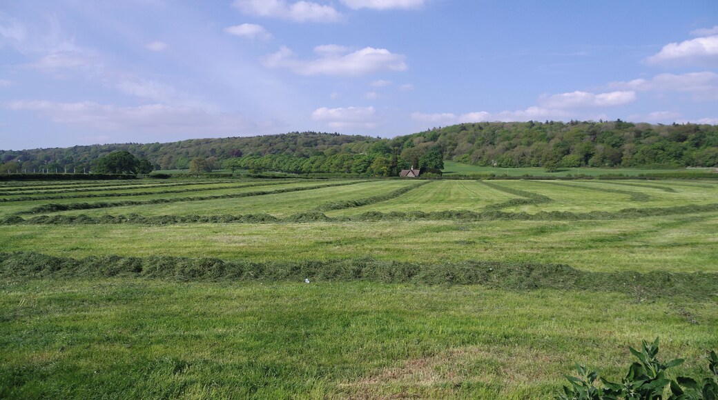 Fields in Flax Bourton, looking northwards.