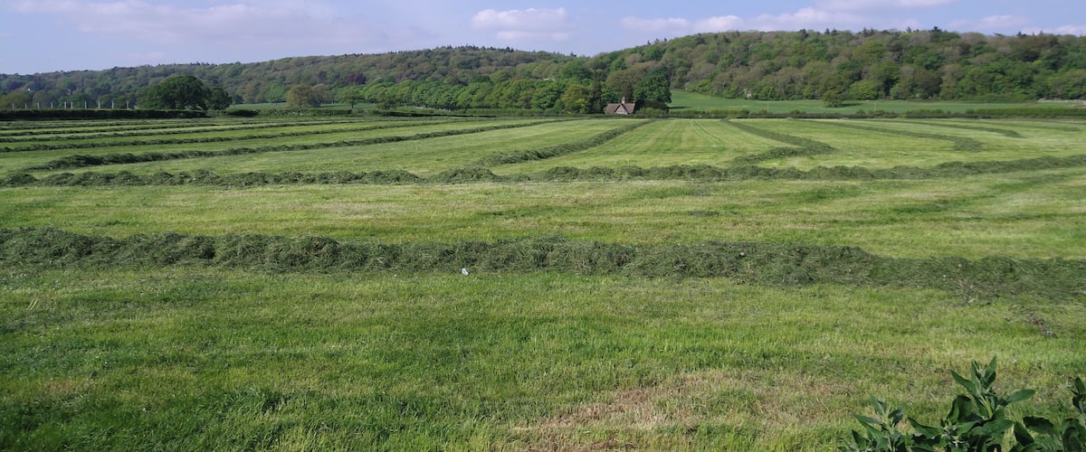 Fields in Flax Bourton, looking northwards.