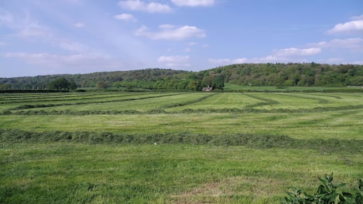 Fields in Flax Bourton, looking northwards.