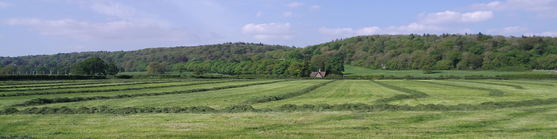 Fields in Flax Bourton, looking northwards.