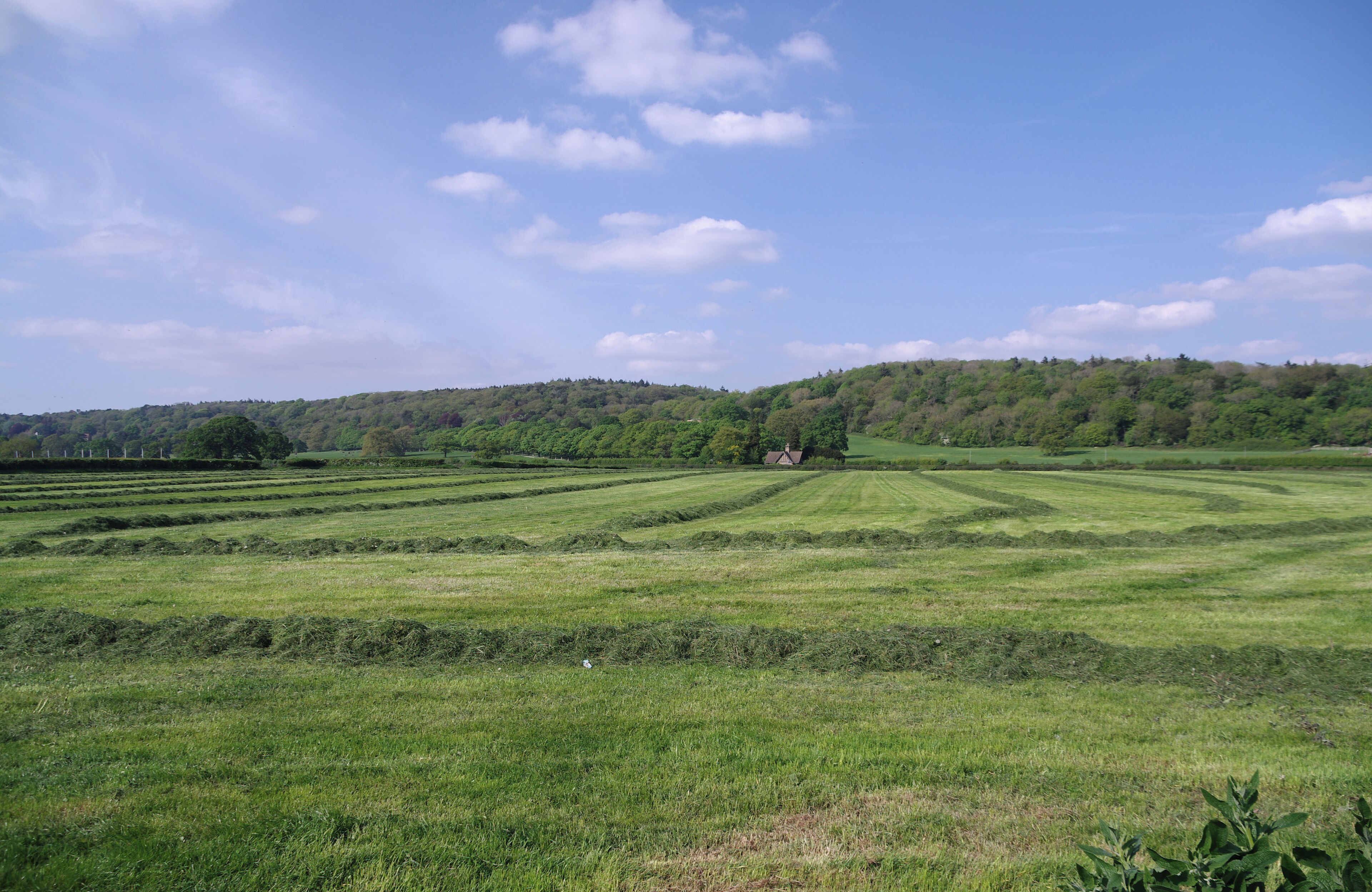 A vast green field with a small house in the distance, surrounded by rolling hills and a clear blue sky.