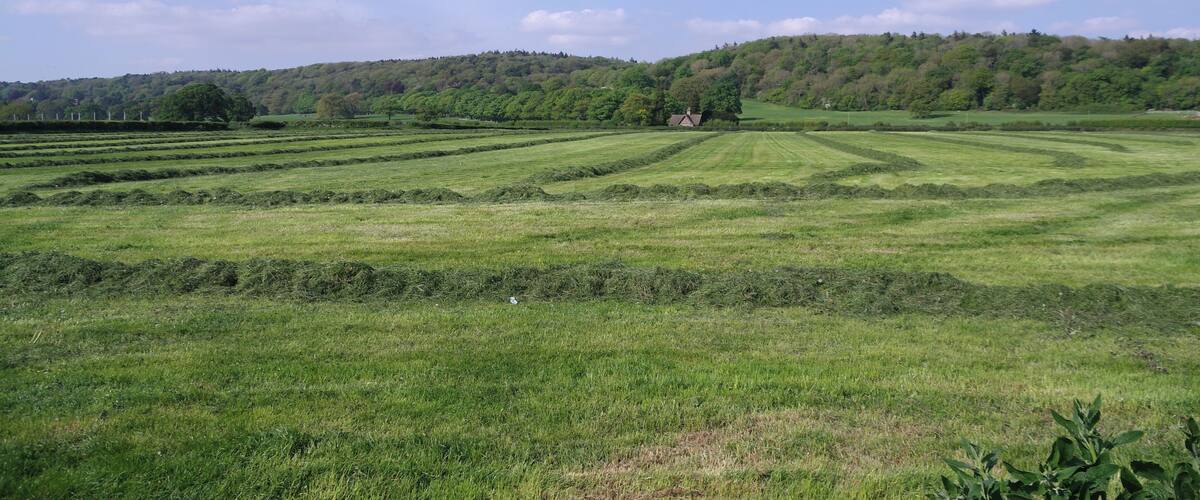 A vast green field with a small house in the distance, surrounded by rolling hills and a clear blue sky.
