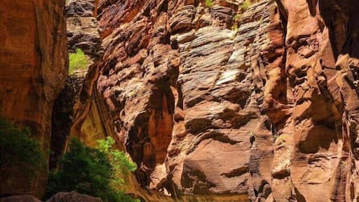 The beauty of Rocky Mountains and enjoying swimming between them near home.