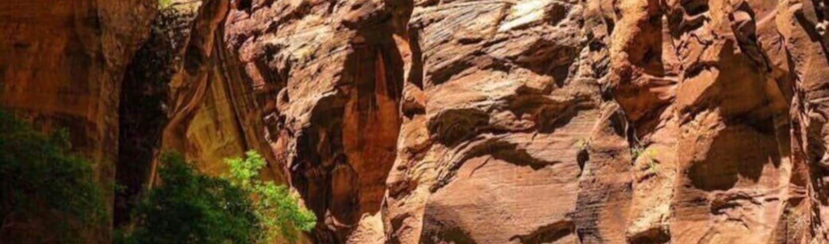 A canyon with a river flowing through it.