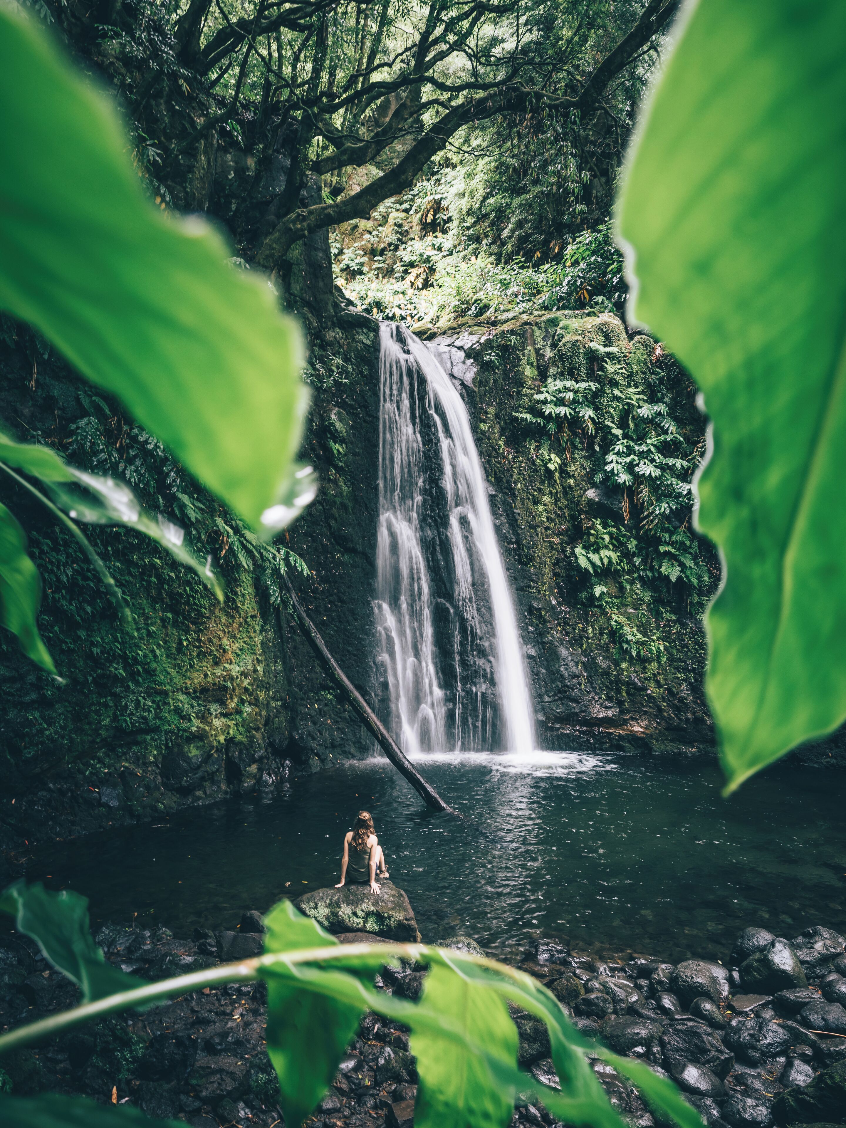 Back from one amazing trip to discover some islands of the Azores.
This picture was taken during a small hike to the Salto do Prego waterfall on the Sao Miguel island.
More pictures soon.

Last year, in december, i won the trover travel scholarship of the month award. With the price a booked the trip to the Azores!
Thanks Trover!!

#trover #scholarship #azores #portugal #hiking #waterfall #nature

Make sure you follow me on: 
https://www.facebook.com/ShotByCanipel/
https://www.instagram.com/canipel/