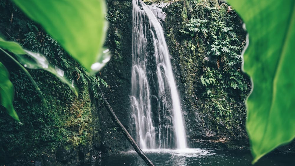 Back from one amazing trip to discover some islands of the Azores.
This picture was taken during a small hike to the Salto do Prego waterfall on the Sao Miguel island.
More pictures soon.
Last year, in december, i won the trover travel scholarship of the month award. With the price a booked the trip to the Azores!
Thanks Trover!!
#trover #scholarship #azores #portugal #hiking #waterfall #nature
Make sure you follow me on:
https://www.facebook.com/ShotByCanipel/
https://www.instagram.com/canipel/