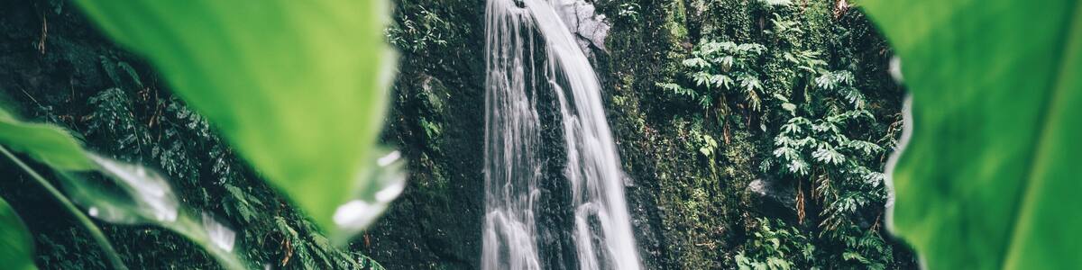 Back from one amazing trip to discover some islands of the Azores.
This picture was taken during a small hike to the Salto do Prego waterfall on the Sao Miguel island.
More pictures soon.
Last year, in december, i won the trover travel scholarship of the month award. With the price a booked the trip to the Azores!
Thanks Trover!!
#trover #scholarship #azores #portugal #hiking #waterfall #nature
Make sure you follow me on:
https://www.facebook.com/ShotByCanipel/
https://www.instagram.com/canipel/