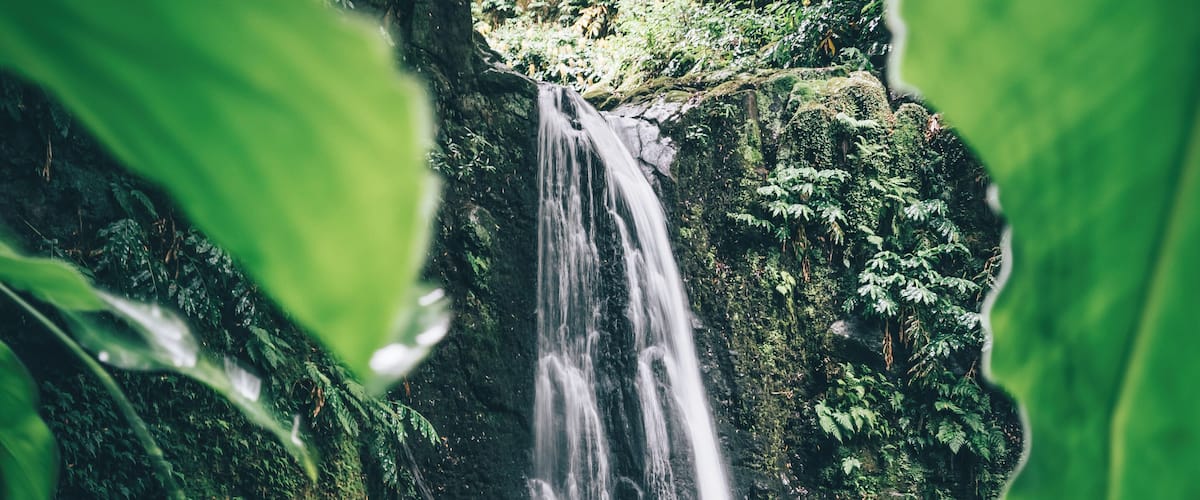 Back from one amazing trip to discover some islands of the Azores.
This picture was taken during a small hike to the Salto do Prego waterfall on the Sao Miguel island.
More pictures soon.
Last year, in december, i won the trover travel scholarship of the month award. With the price a booked the trip to the Azores!
Thanks Trover!!
#trover #scholarship #azores #portugal #hiking #waterfall #nature
Make sure you follow me on:
https://www.facebook.com/ShotByCanipel/
https://www.instagram.com/canipel/