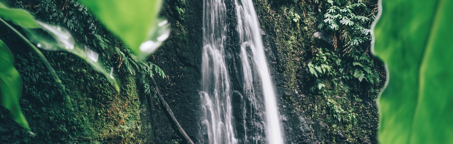 Back from one amazing trip to discover some islands of the Azores.
This picture was taken during a small hike to the Salto do Prego waterfall on the Sao Miguel island.
More pictures soon.
Last year, in december, i won the trover travel scholarship of the month award. With the price a booked the trip to the Azores!
Thanks Trover!!
#trover #scholarship #azores #portugal #hiking #waterfall #nature
Make sure you follow me on:
https://www.facebook.com/ShotByCanipel/
https://www.instagram.com/canipel/