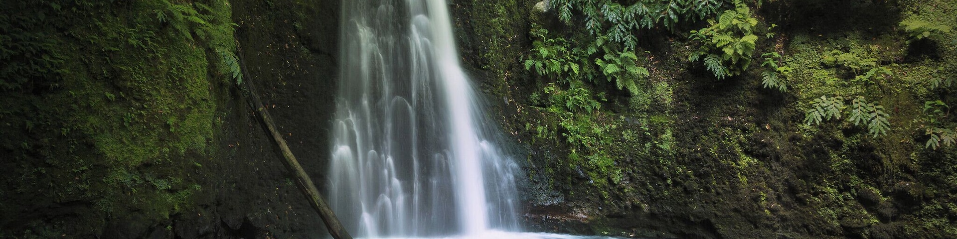 Una cascada vertiginosa que desemboca en una piscina cristalina, rodeada de frondosa vegetación.