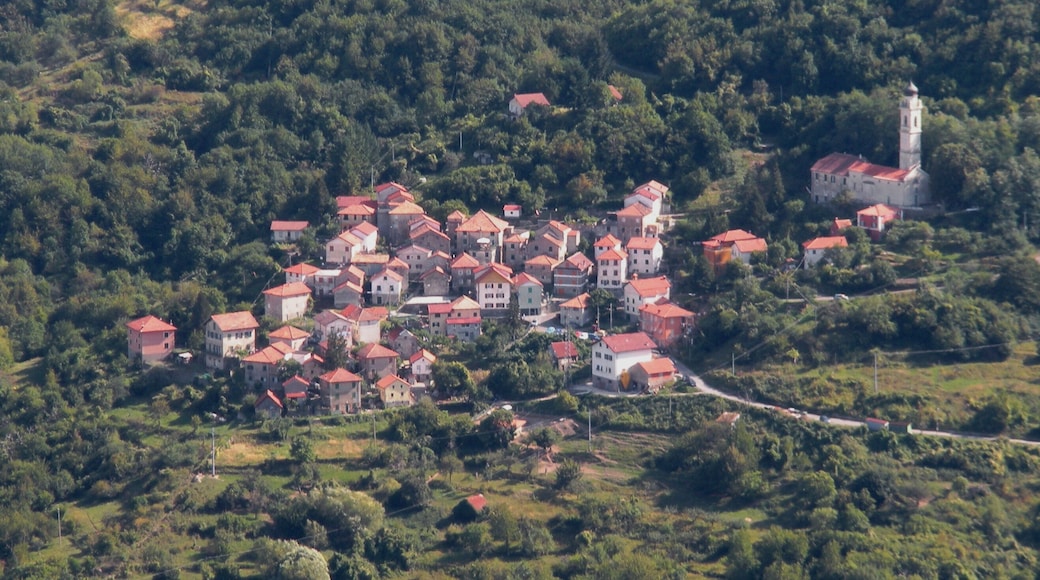 View of the village of Frassinello (Valbrevenna, province of Genoa, Italy)