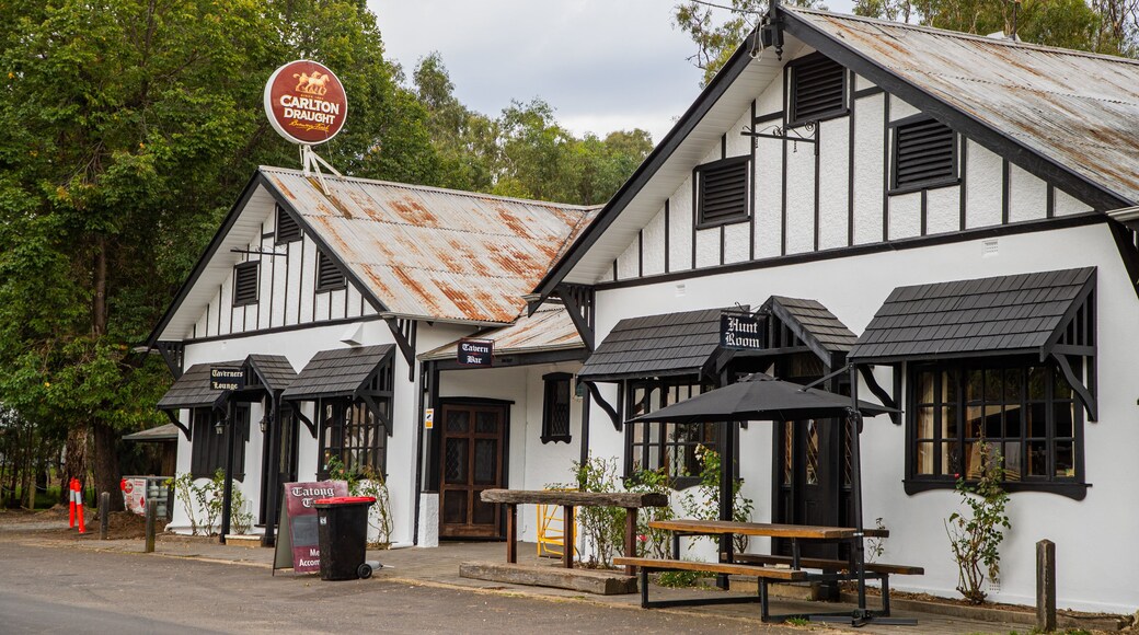 Tatong showing a small town or village