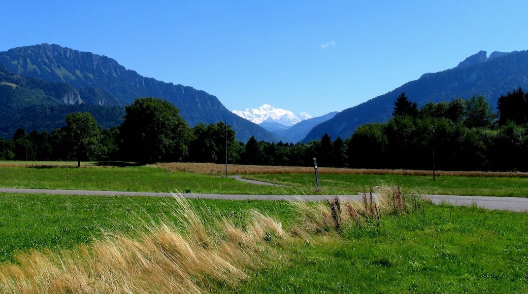le Mont Blanc, august 2008