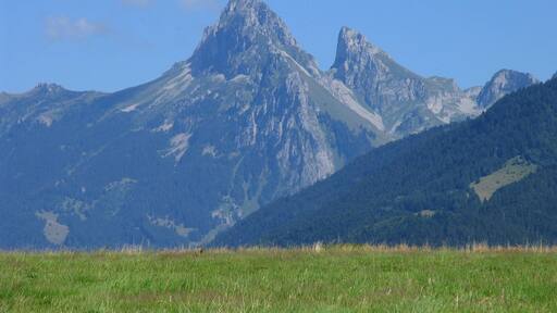 la Dent d'Oche, august 2008