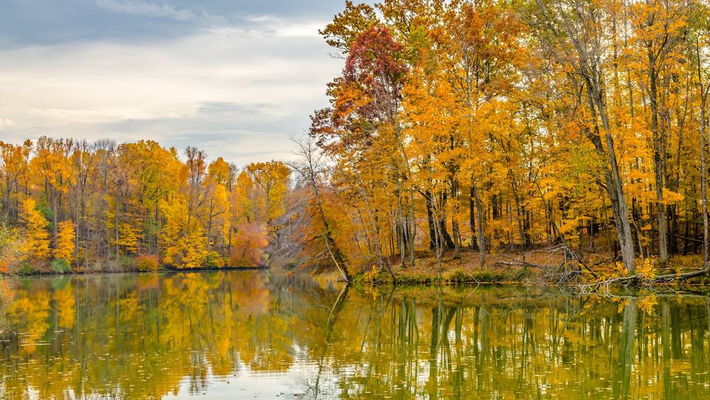 Red and gold leaves of fall are reflected in the waters of Worster Lake at Potato Creek State Park in North Liberty, Indiana