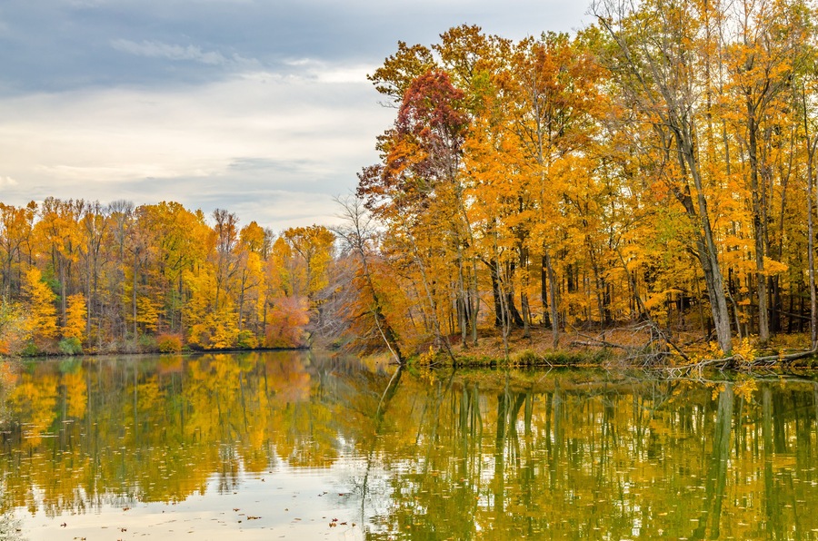 Red and gold leaves of fall are reflected in the waters of Worster Lake at Potato Creek State Park in North Liberty, Indiana