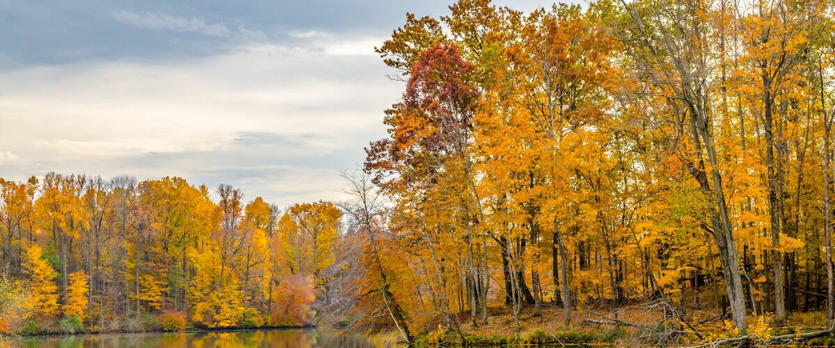A calm lake surrounded by autumn trees reflecting the sky and foliage.