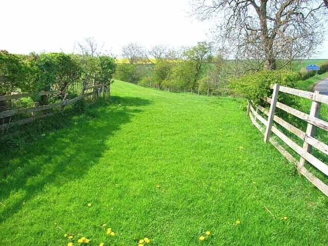 Field beside the Bishopton to Mordon road. The boundary between Stockton and County Durham can be seen in the background (right of picture).