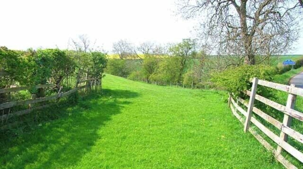Field beside the Bishopton to Mordon road. The boundary between Stockton and County Durham can be seen in the background (right of picture).