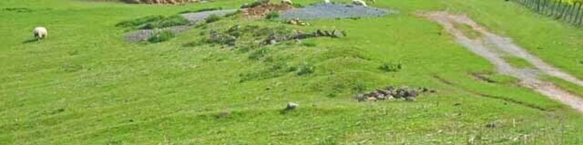 West Farm Lake, Stillington. A fishing lake. For details see http://freespace.virgin.net/r.spencer/Venues/Durham/westfarmlake.htm