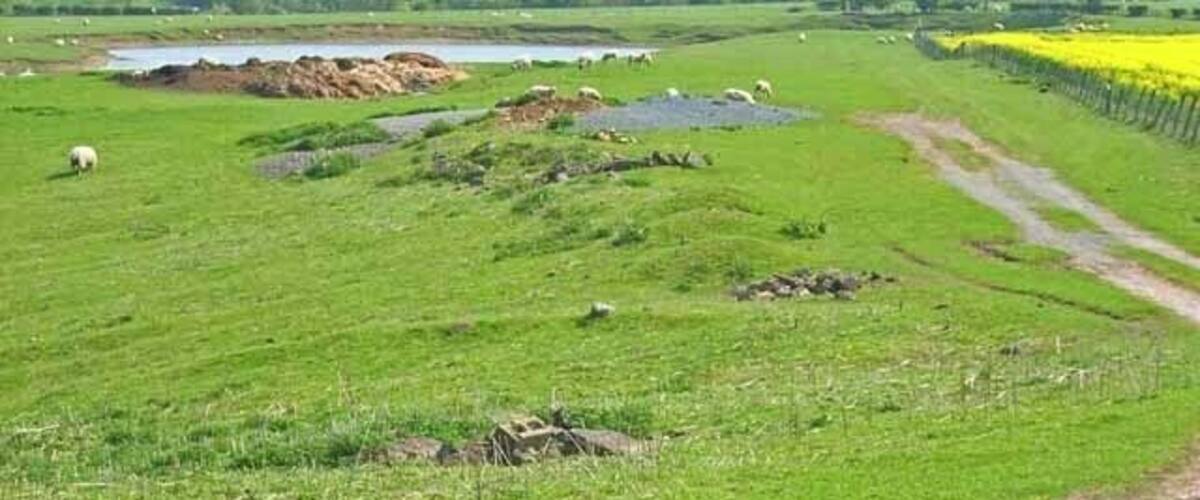 A green field with a pond, a dirt path, and a fence.