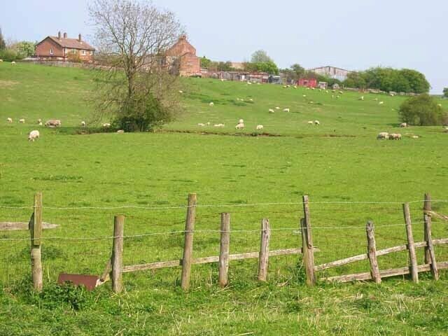 Old Stillington viewed from the Beck.