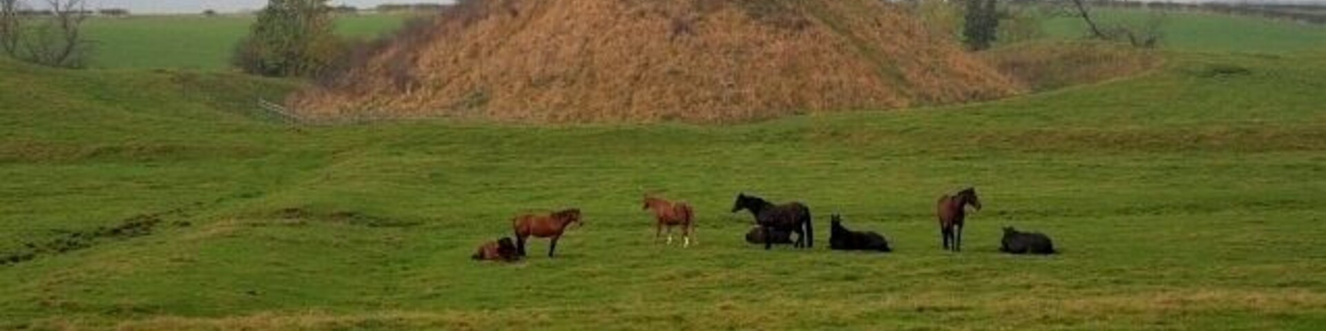Um campo gramado com uma pilha de feno, cavalos pastando e algumas árvores ao fundo.