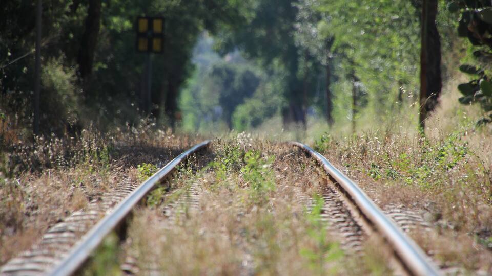 Railway tracks surrounded by greenery.