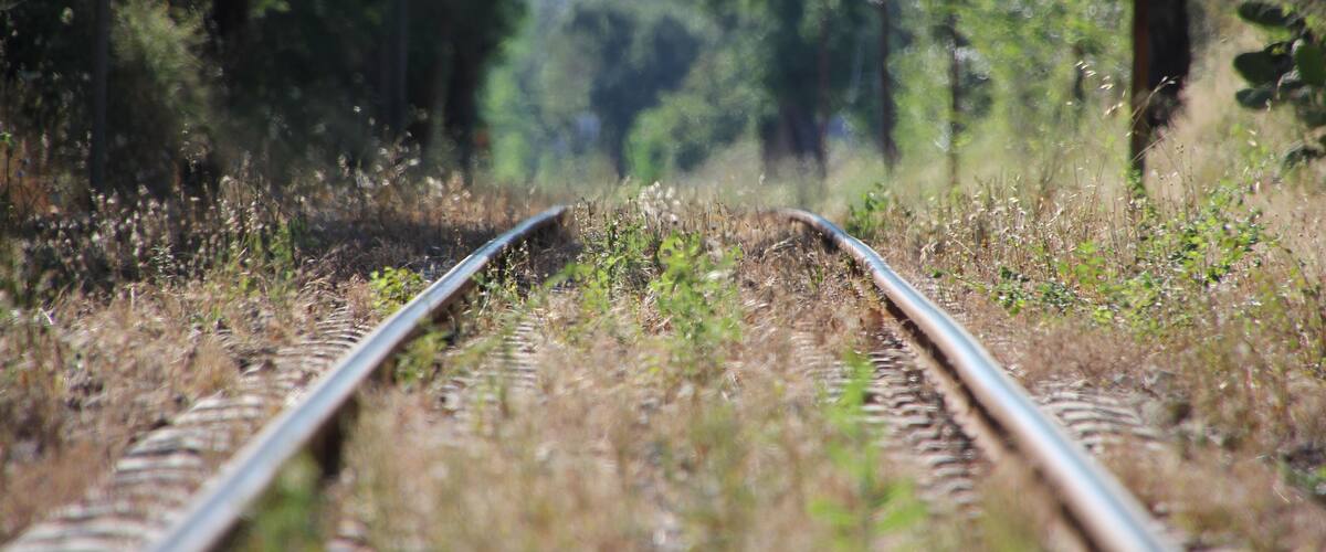 Railway tracks surrounded by greenery.