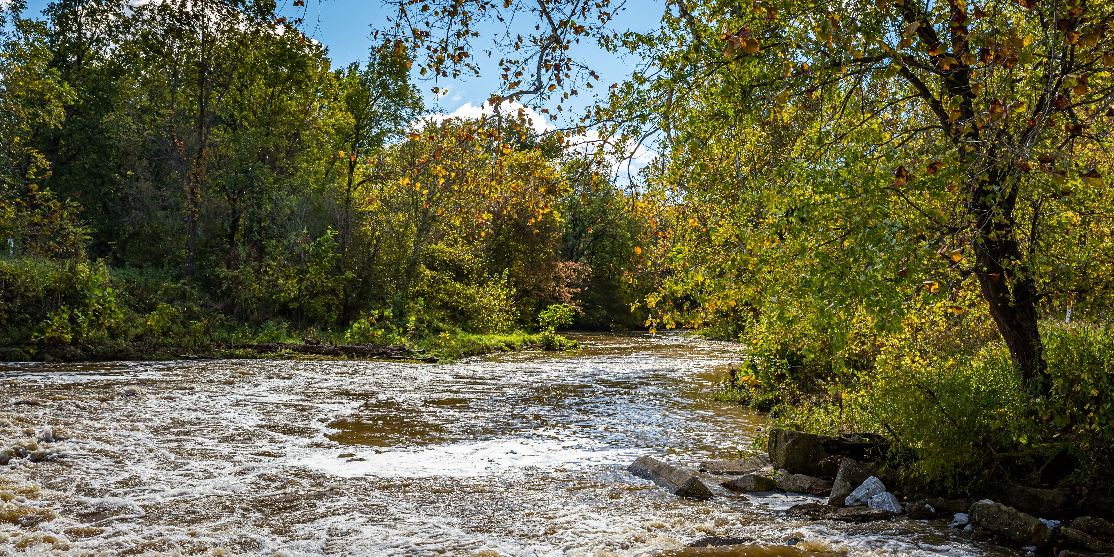A river flowing through a forest with rocks and trees.