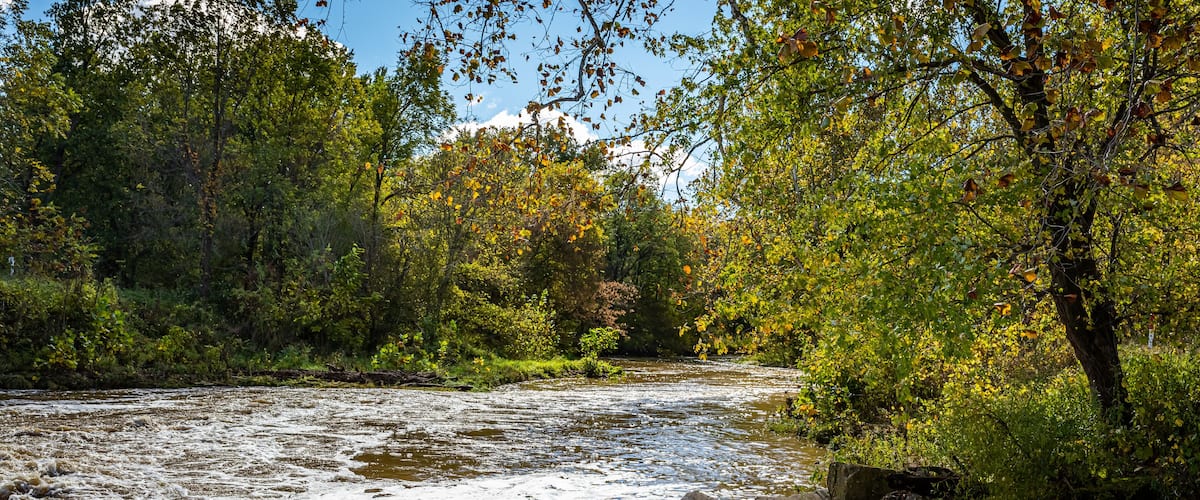 A river flowing through a forest with rocks and trees.
