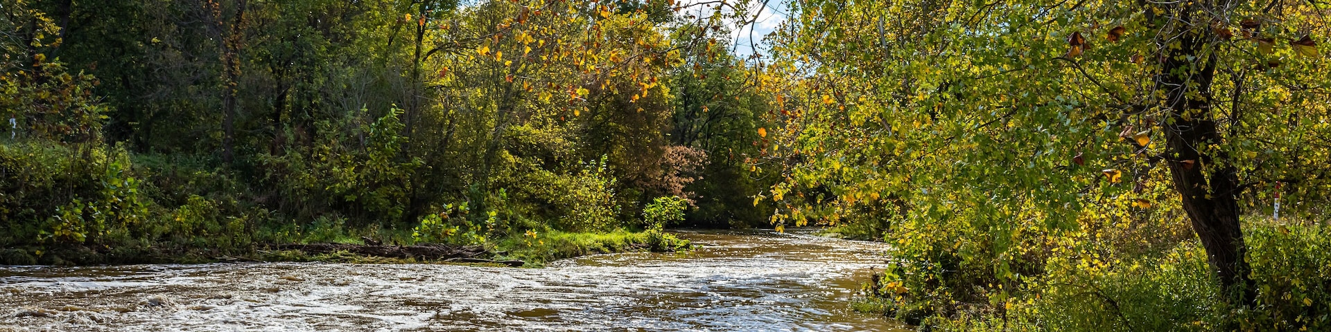 A river flowing through a forest with rocks and trees.