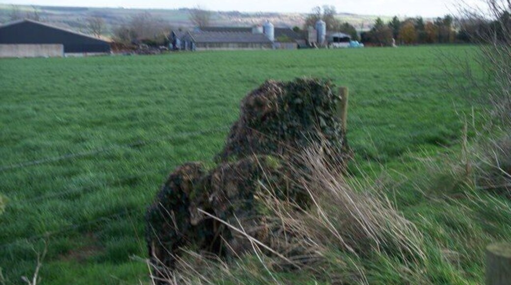 Farm buildings From the Monarch's Way long distance path, these farm buildings are seen across the adjacent field. Great Rissington is the village in the far distance.