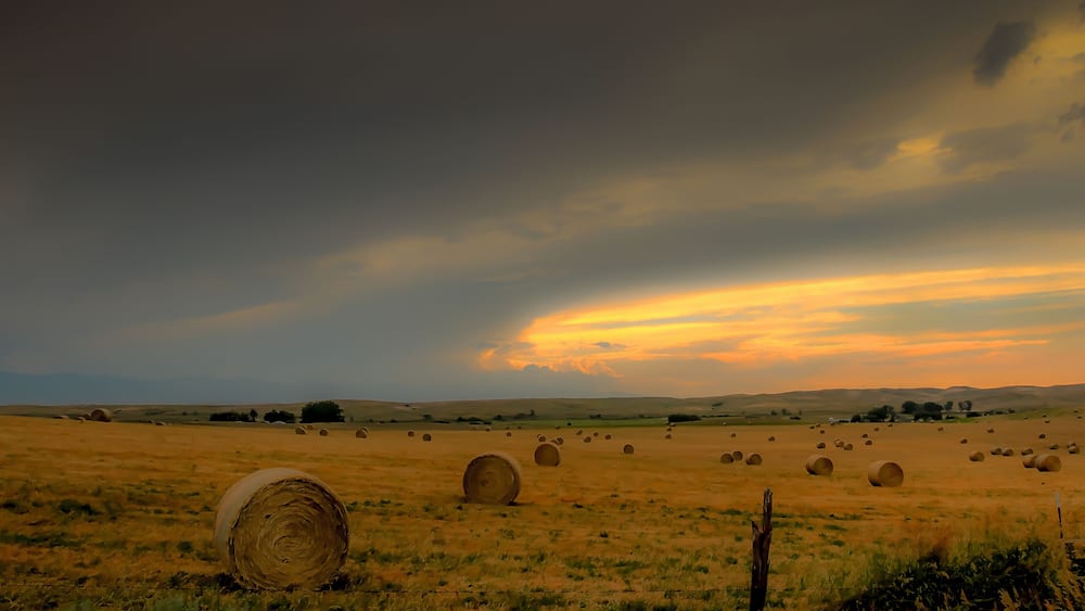 Sheridan, WY