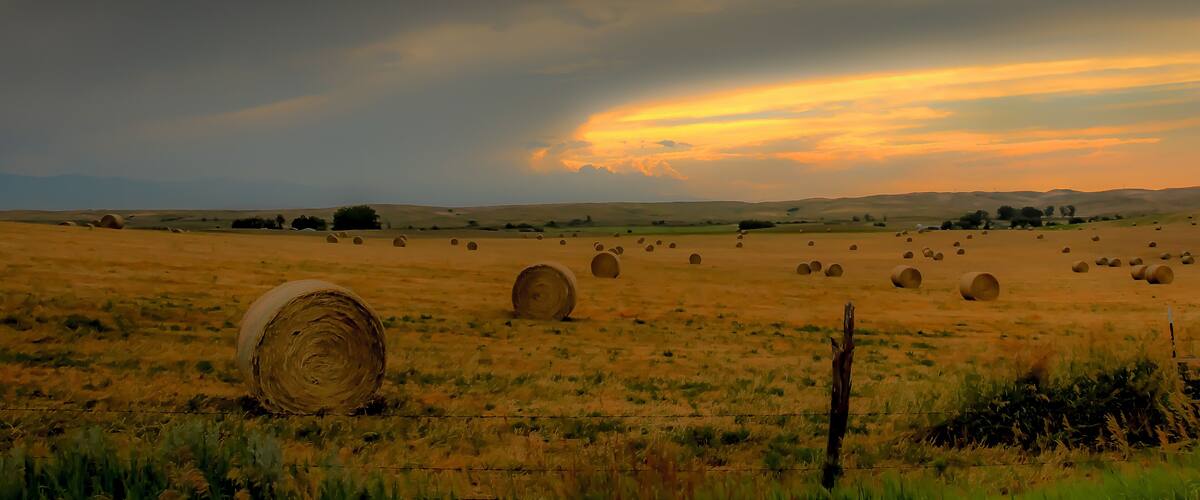 A field with hay bales and a cloudy sky.
