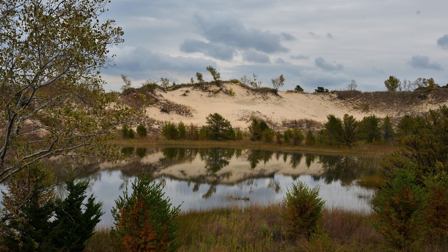 Cloudy daytime photo of Indiana Dunes National Park with a sand dune in the background and pond in the foreground, panorama
