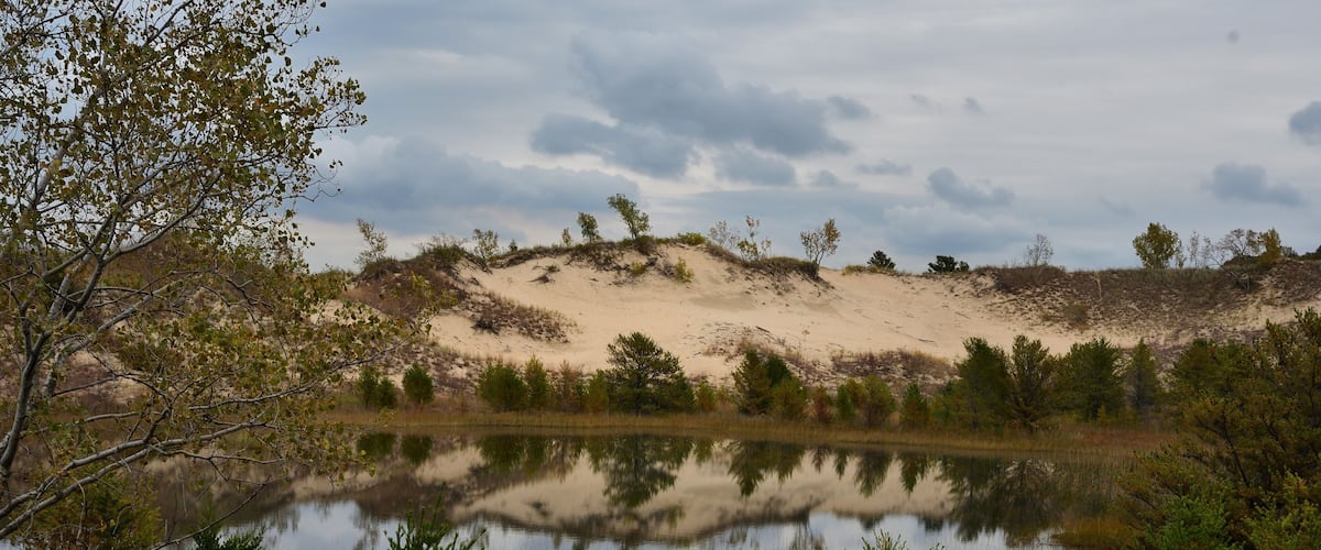 A serene landscape with a reflective lake, sandy dunes, and scattered trees.