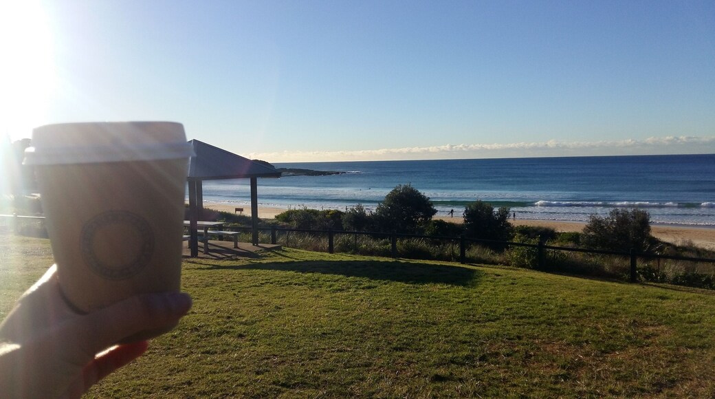 Sunshine, coffee and ocean! Pilu at Freshwater is the best place to have a cuppa before work as it is right on Freshwater Beach!
#freshwater #sydney #piluatfreshwater #coffee