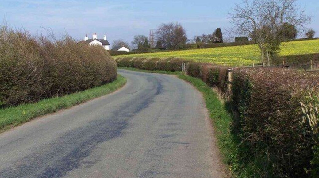 Borough Lane, Longdon