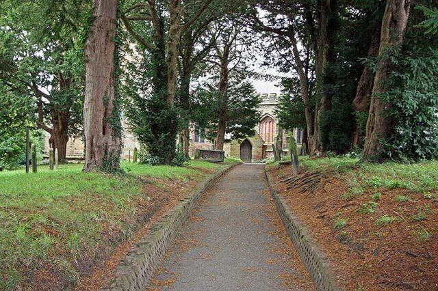 A pathway leading to a building surrounded by tall trees.