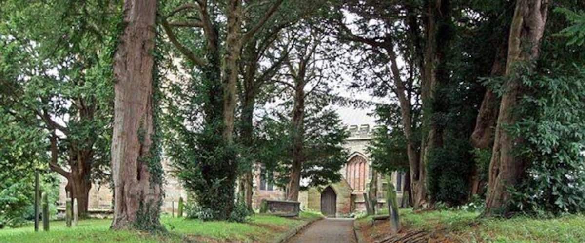 A pathway leading to a building surrounded by tall trees.