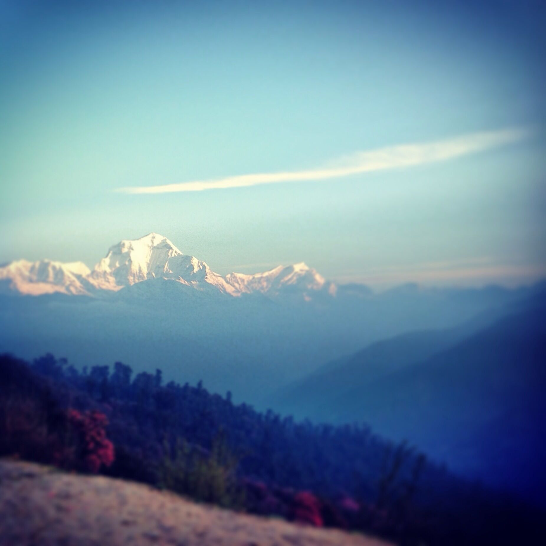 A beautiful piece of heaven.