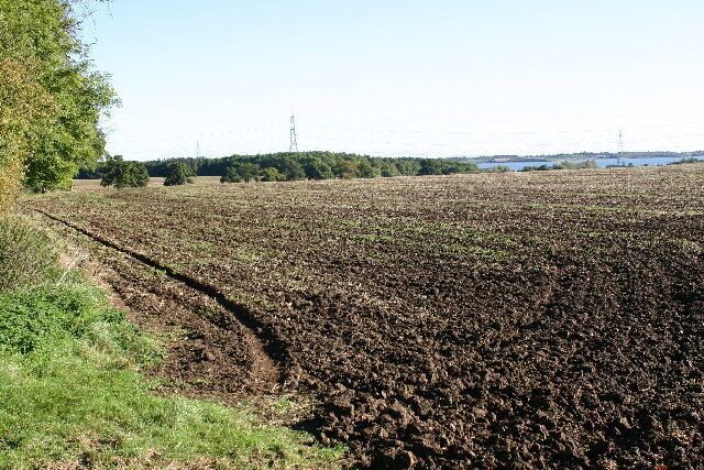 Looking over farmland to Grafham Water.