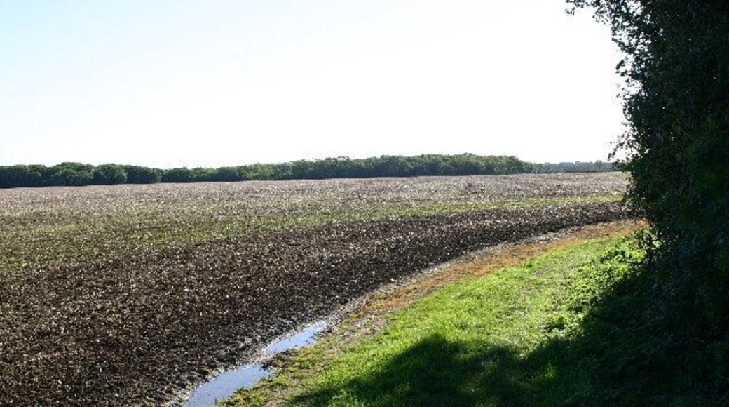 Farmland near Stonely.