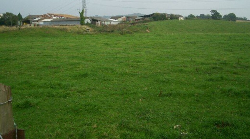 Pen-y-Parc Farm. Looking across grassy field to Pen-y-Parc farm, with power lines passing above.
