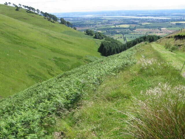 A grassy hillside with a view of distant fields and trees.