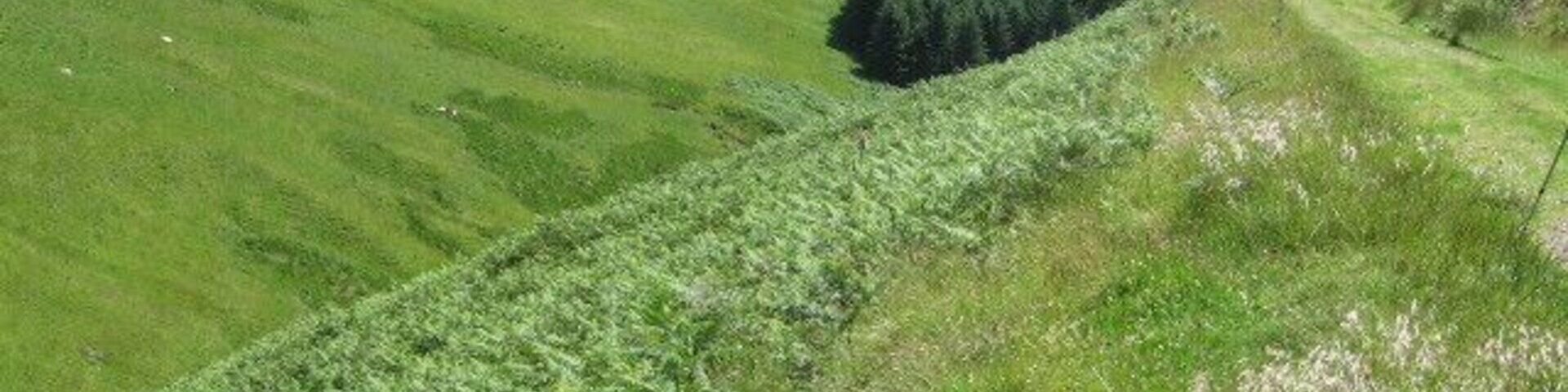 Una colina cubierta de hierba con vistas a campos y árboles distantes.