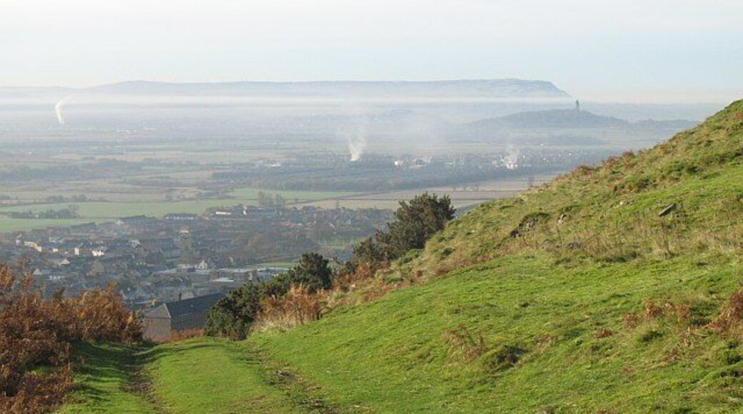 Track above Alva The road up to the Nebit above Alva with the Forth flood plain below.
