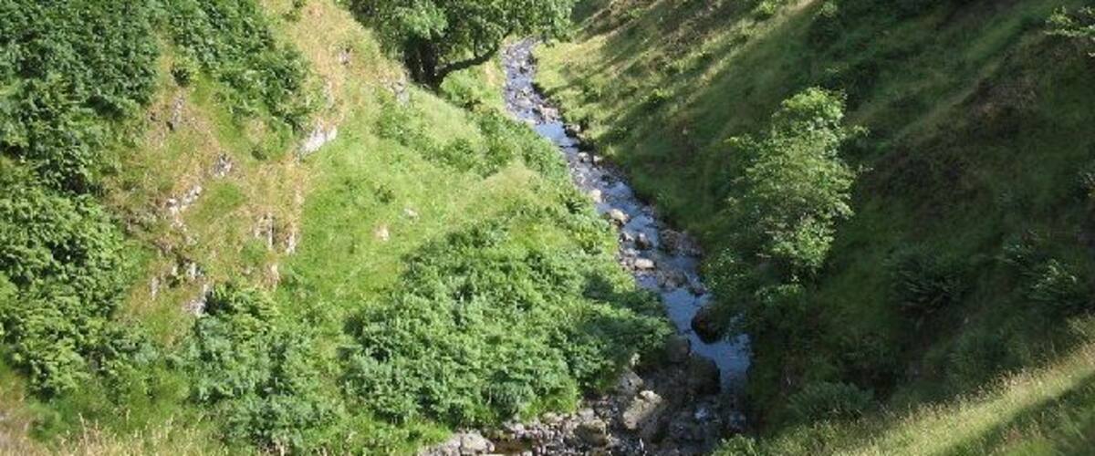 Alva Burn in Alva Glen.